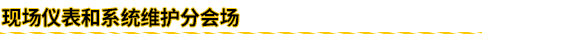 現(xiàn)場儀表和系統(tǒng)維護(hù)分會場